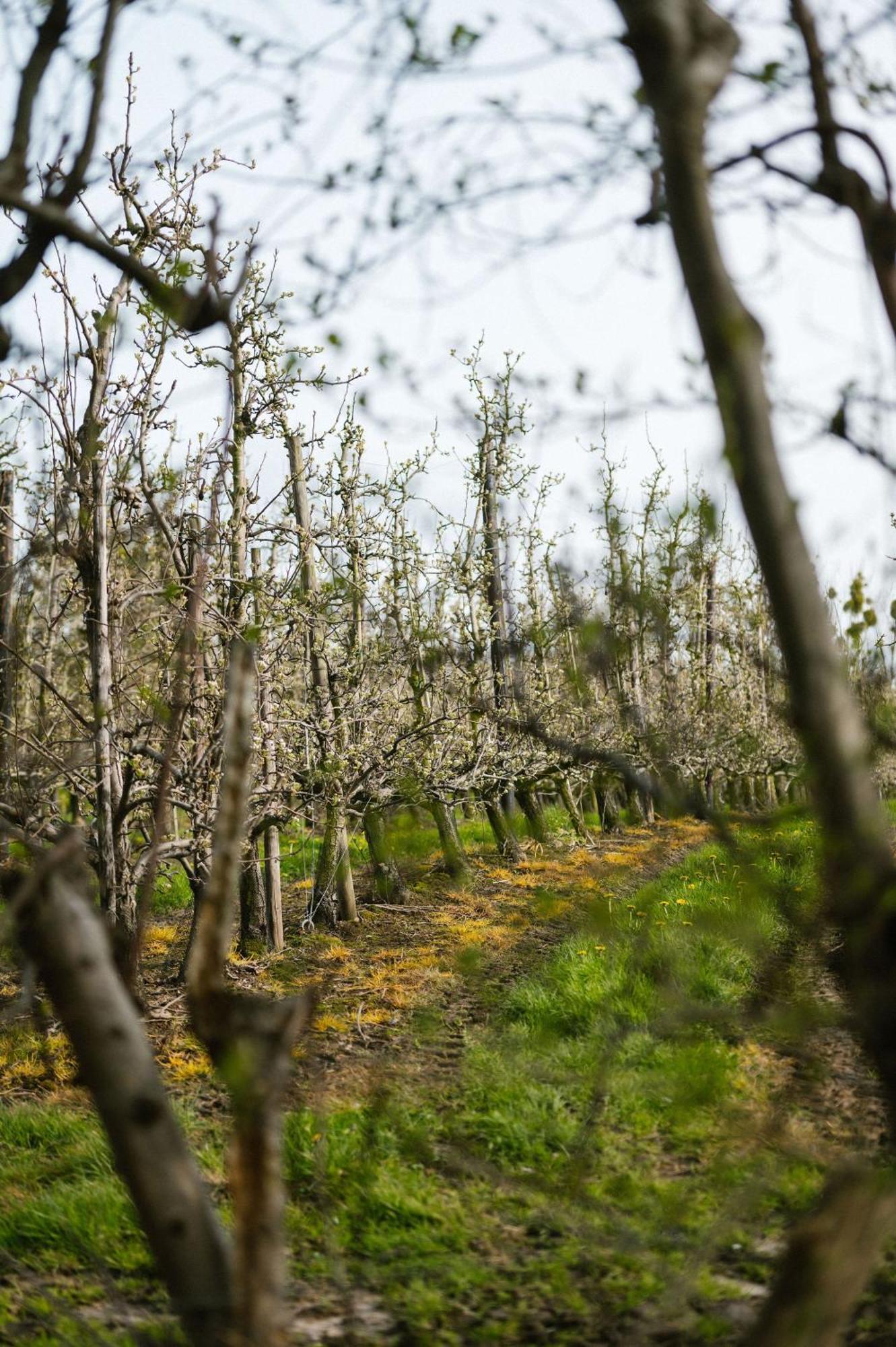 Hoeve De Reetjens - La Gouvernante Bilzen Dış mekan fotoğraf